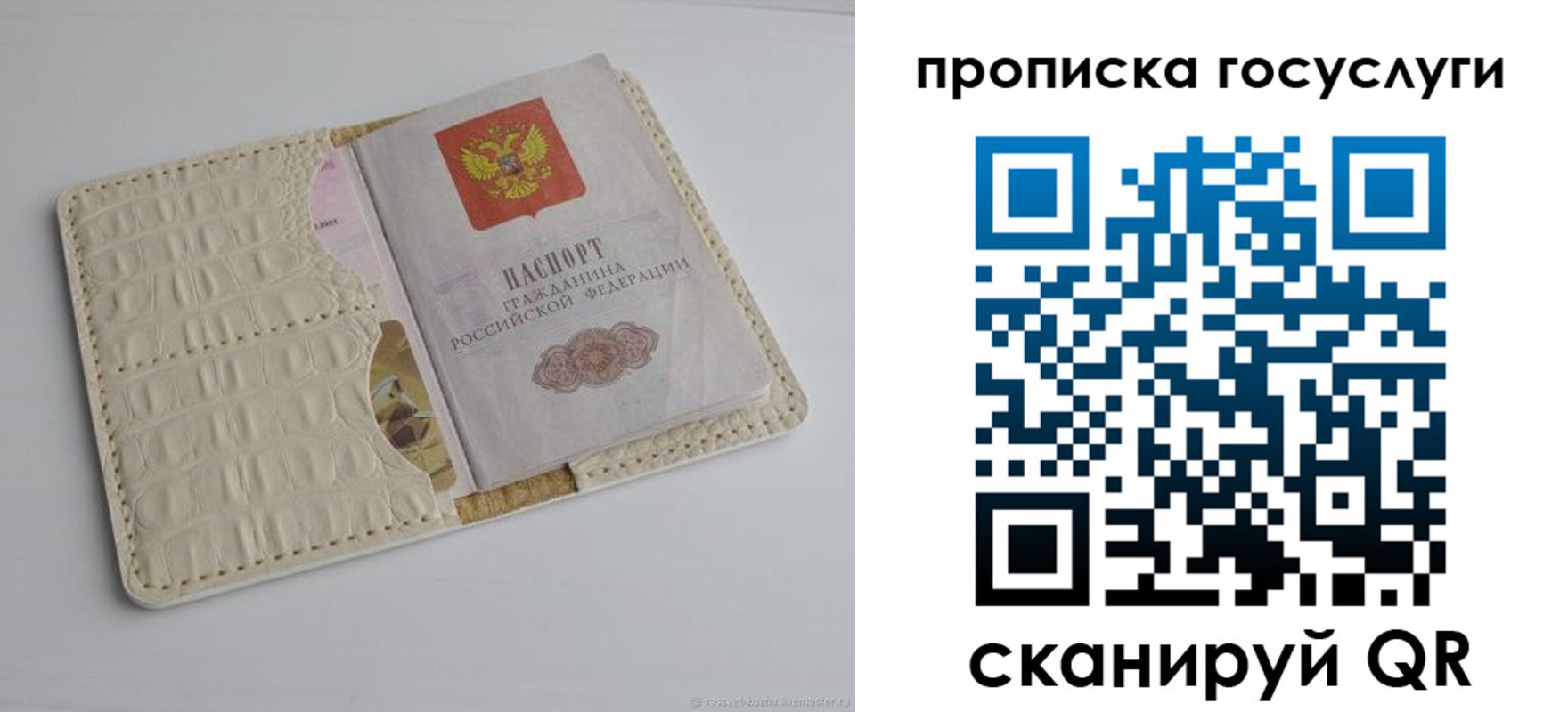прописка законно в Сальске